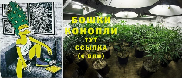 MESCALINE Белокуриха