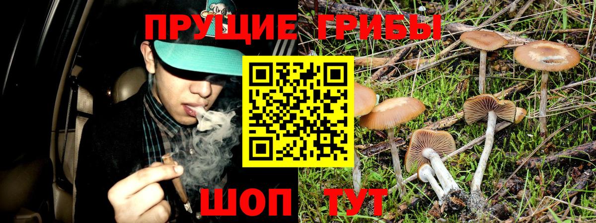 Галлюциногенные грибы Magic Shrooms Верхний Уфалей