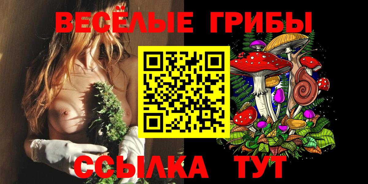 Верхний Уфалей  купить  цена  Вход с VPN  Псилоцибиновые грибы прущие грибы  Галлюциногенные грибы ЛСД 